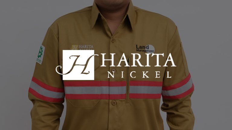 Wearpack Safety Harita Nickel